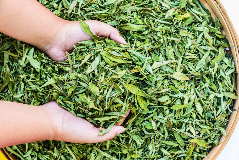 Side effects of stevia