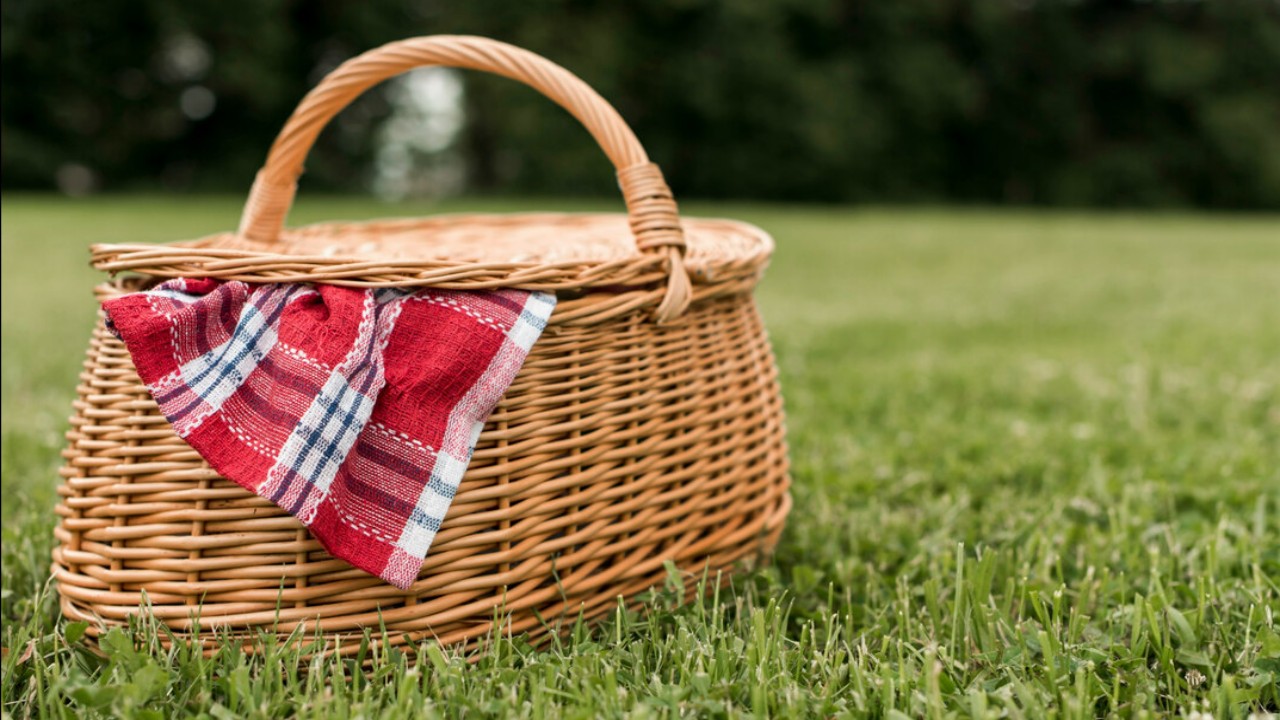 Explore the 11 Best Picnic Baskets for Outdoor Delights