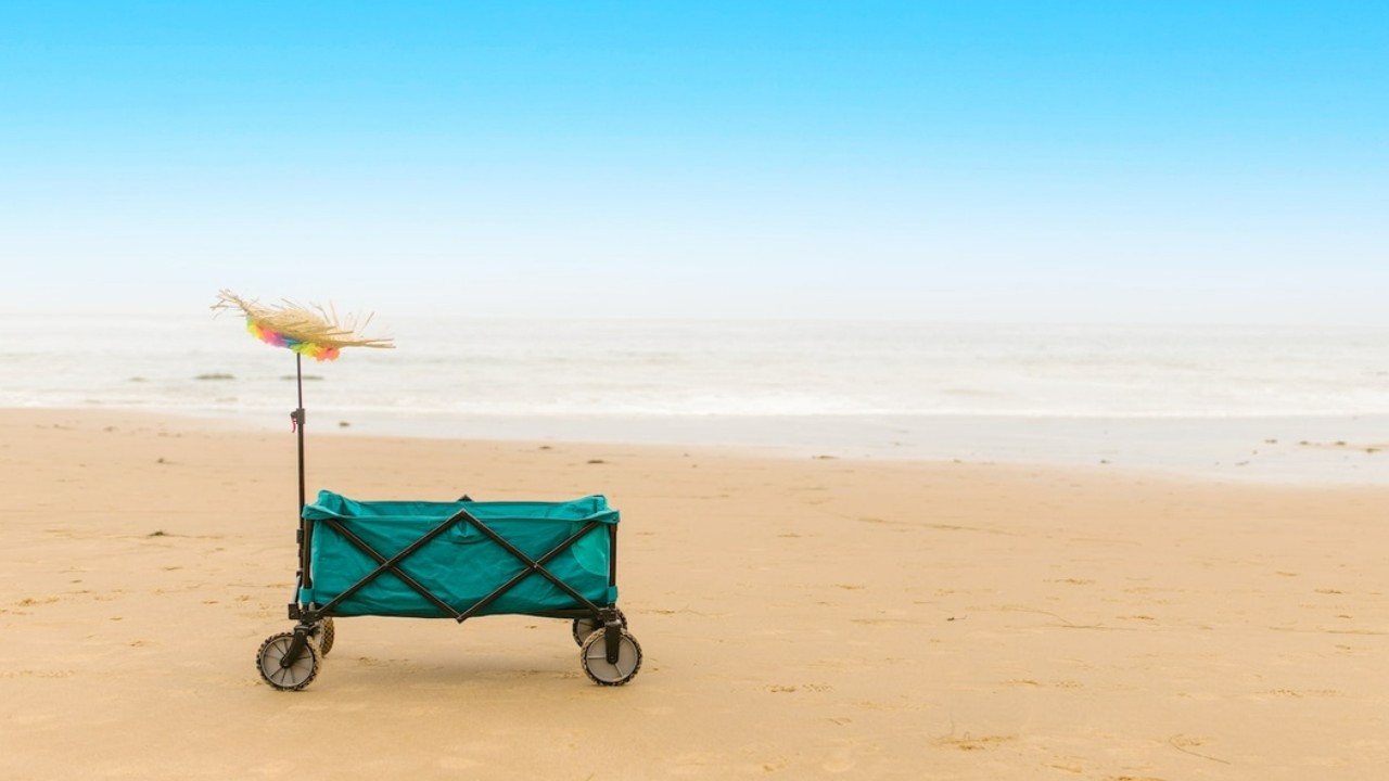 13 Best Beach Wagons That Will Make Your Beach Adventures A Breeze