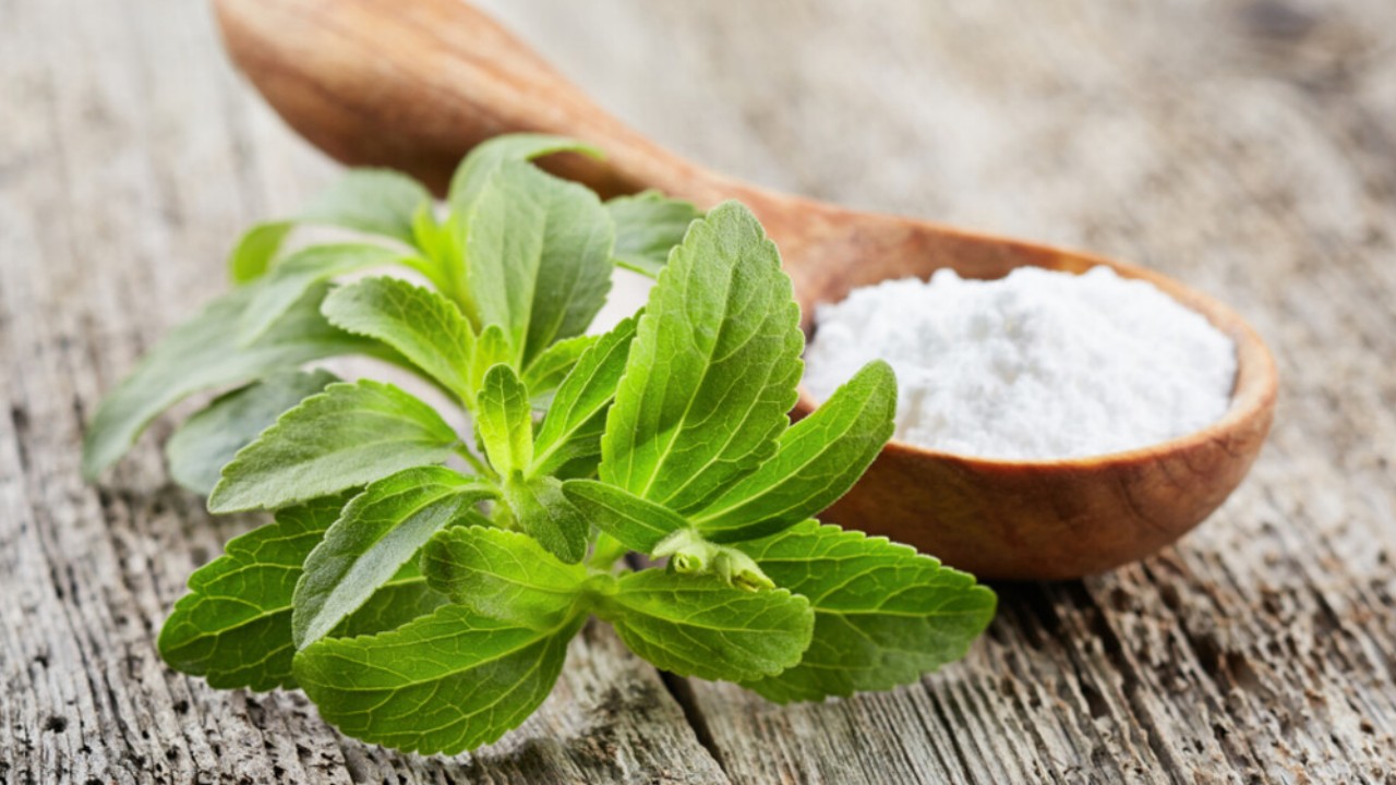 Watch Out for the 9 Side Effects of Stevia: Use it Wisely for a Healthy Life