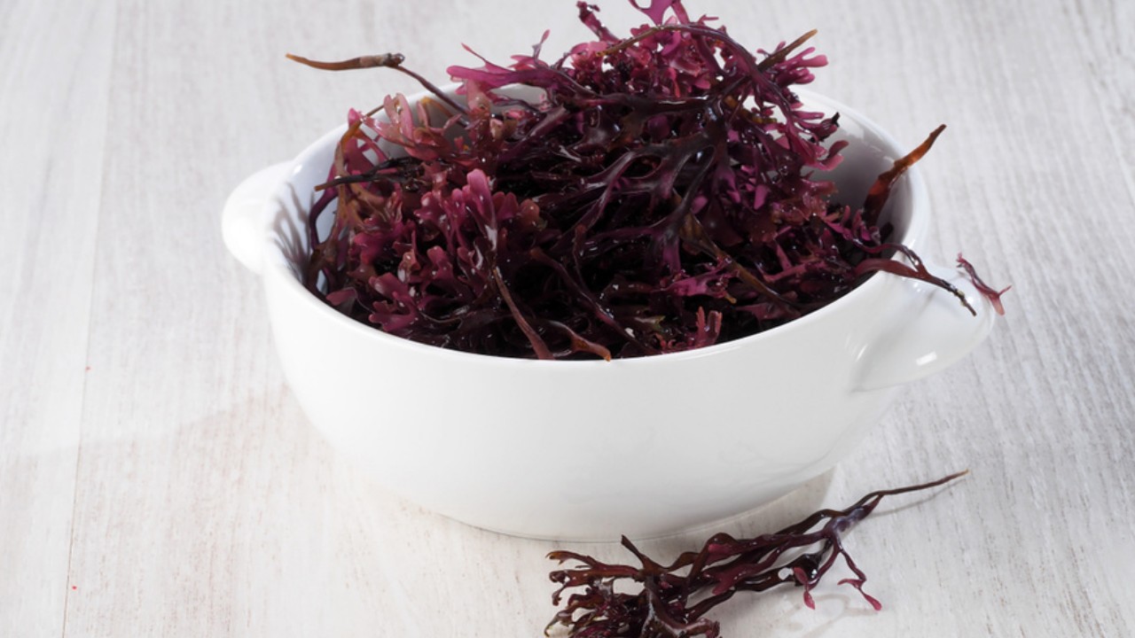 Dangerous Side Effects Of Sea Moss Dangerous Side Effects Of Sea Moss