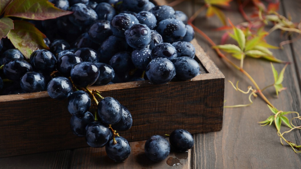 benefits of black grapes