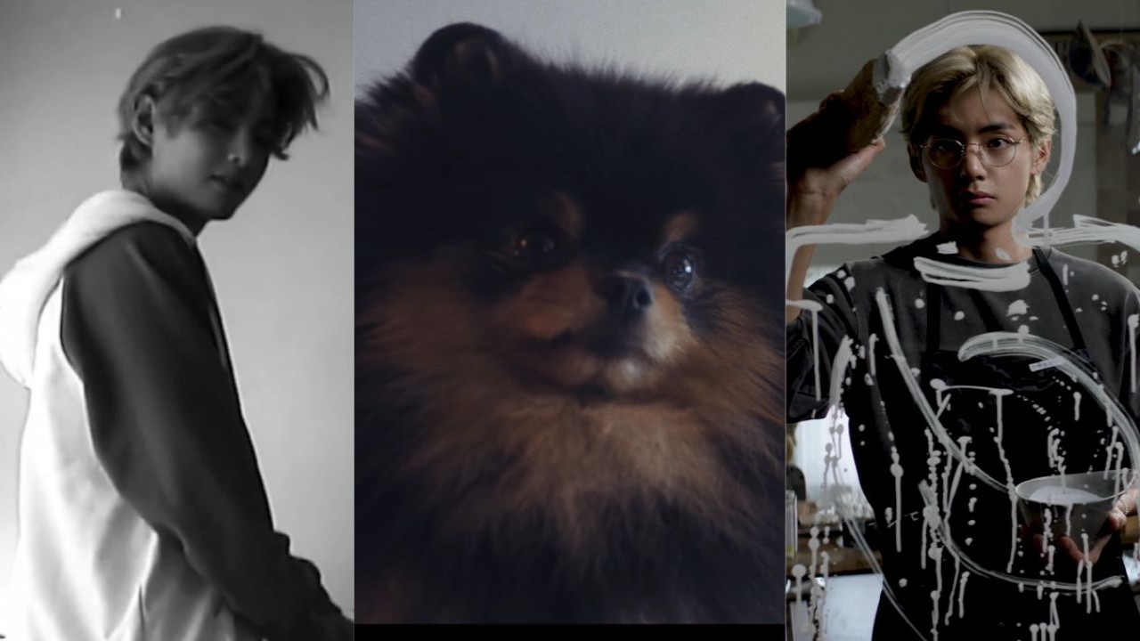 BTS's V's dog Yeontan debuts in his solo song Rainy Days - But is