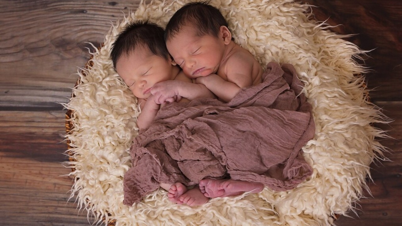 50+ Cute Quotes About Twins: Embracing the Miracles of Multiplicity