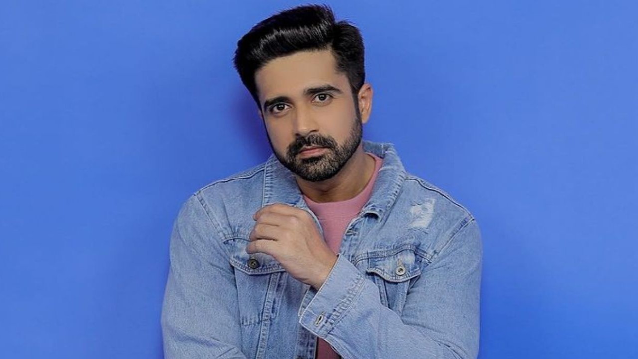 Bigg Boss OTT 2 Exclusive-Avinash Sachdev opens up about debate on Actors vs YouTubers in the house