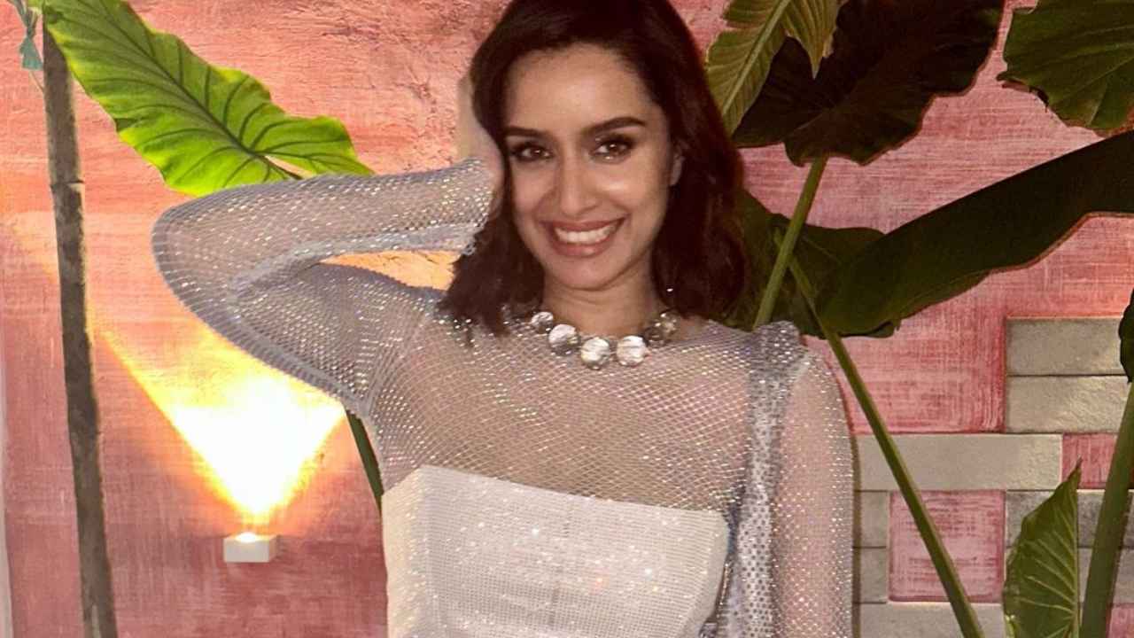 Shraddha Kapoor revives two hottest trends - sheer corset, silver metallic  pants - with her party-ready outfit | PINKVILLA