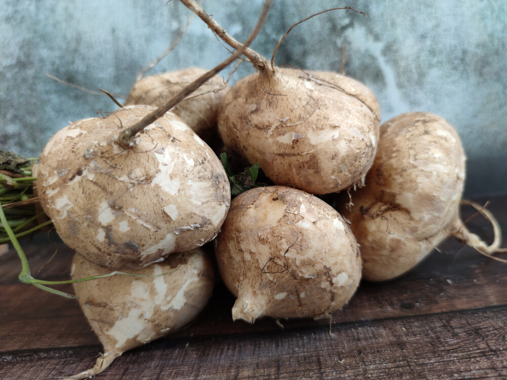 benefits of jicama benefits of jicama
