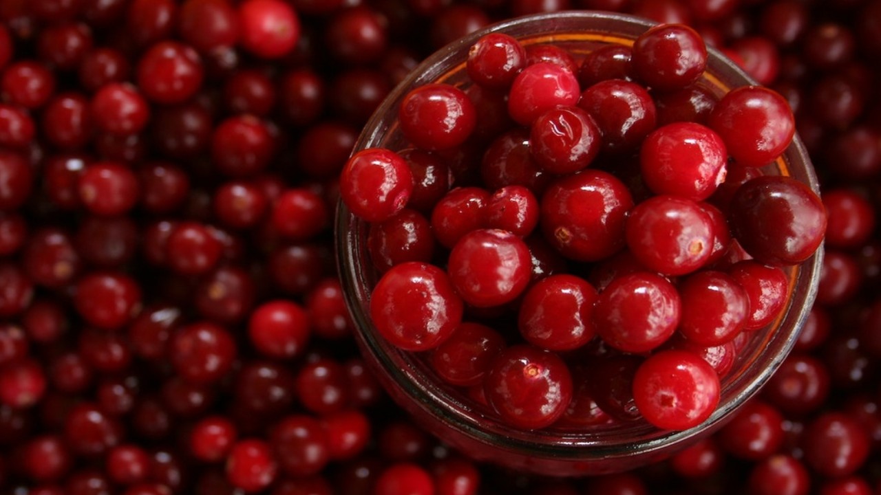 The Super Health Benefits And Effects of Cranberry Tea