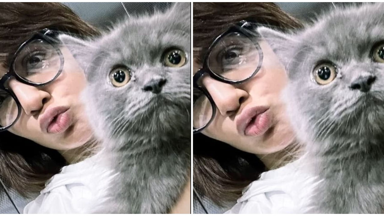 Samantha Ruth Prabhu shares a goofy photo with her pet cat as she spends purrfect Sunday