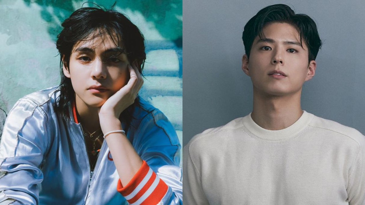 Where are BTS' V and actor Park Bo Gum headed? Fans gush over two