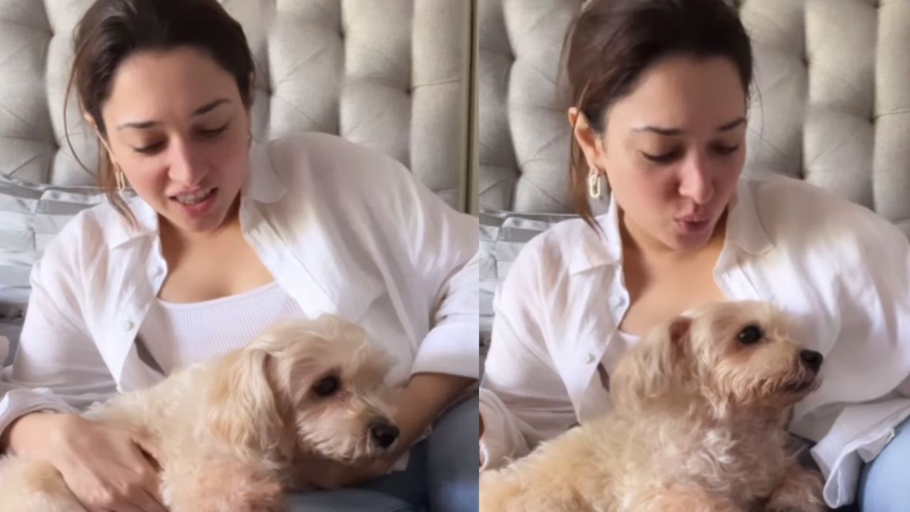 Tamannaah Bhatia grooves to viral song as she cuddles her pet dog Ginger in  new Instagram post; VIDEO | PINKVILLA