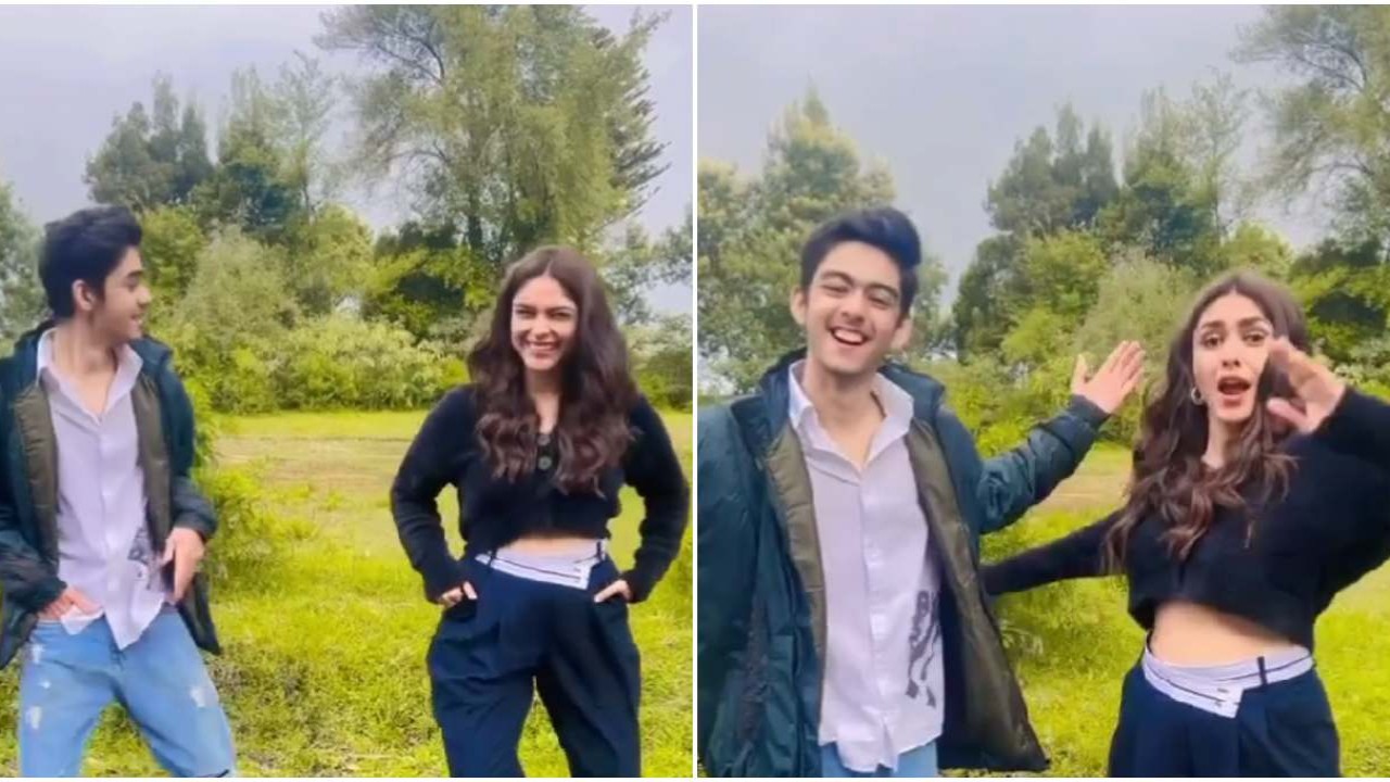 WATCH: Mrunal Thakur dancing to Shah Rukh Khan, Nayanthara's song Chaleya from Jawan; fans are all hearts