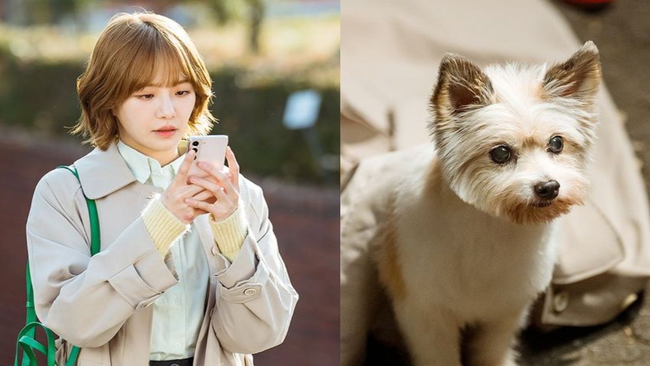 A Good Day to be a Dog: Park Gyu Young looks oh-so-adorable as herself and canine version in NEW stills