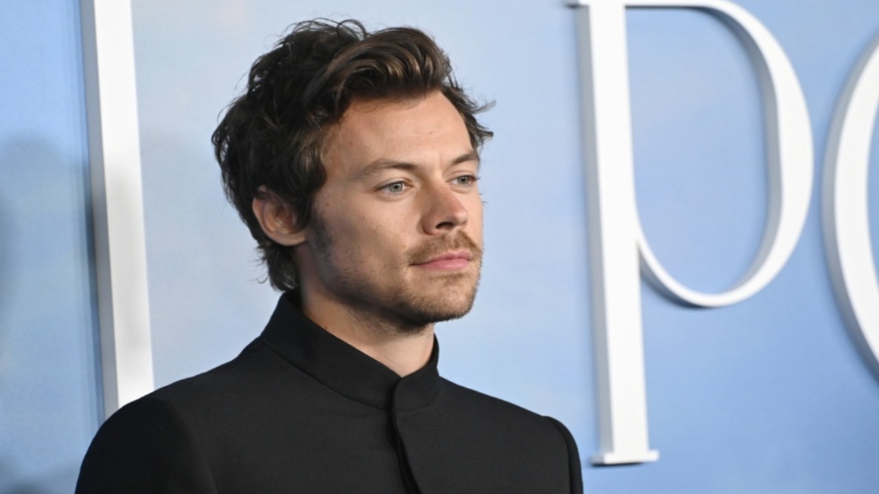 17+ Iconic Harry Styles Hairstyles That Stole the Spotlight 