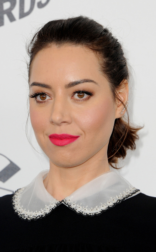 Aubrey Plaza's Plastic Surgery: Unveiling the Transformations