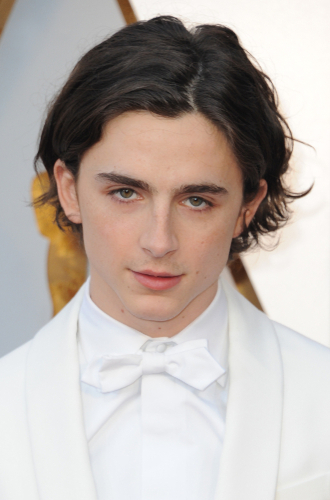 Timothée chalamet hair