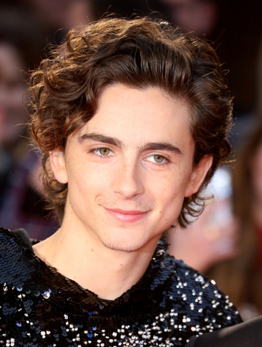 Timothée chalamet hair