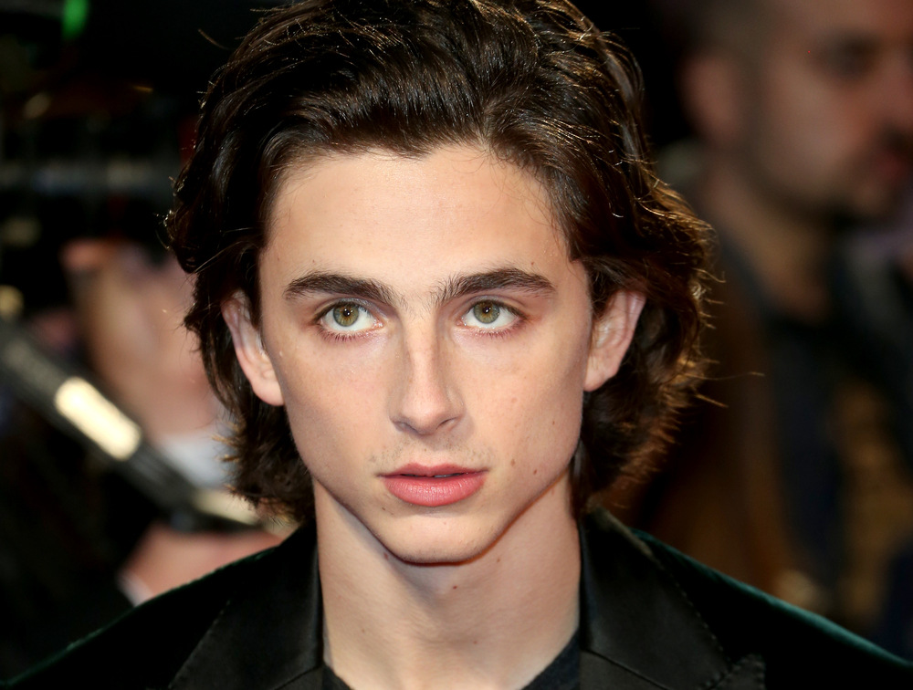 Timothée chalamet hair