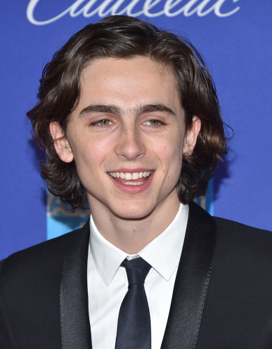 Timothée chalamet hair