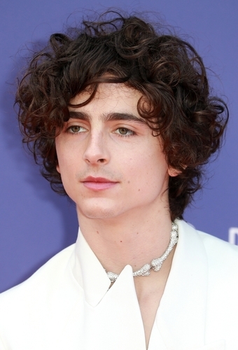 Timothée chalamet hair