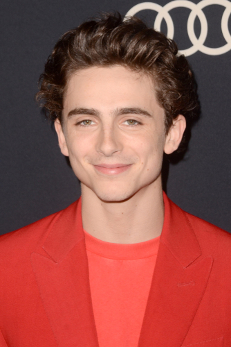 Timothée chalamet hair