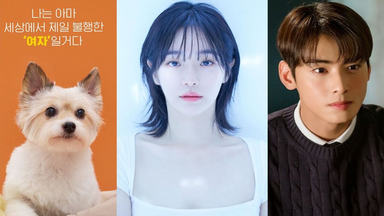 Cha Eun-woo on A Good Day to Be a Dog: This drama has a unique topic and is  exciting - Times of India