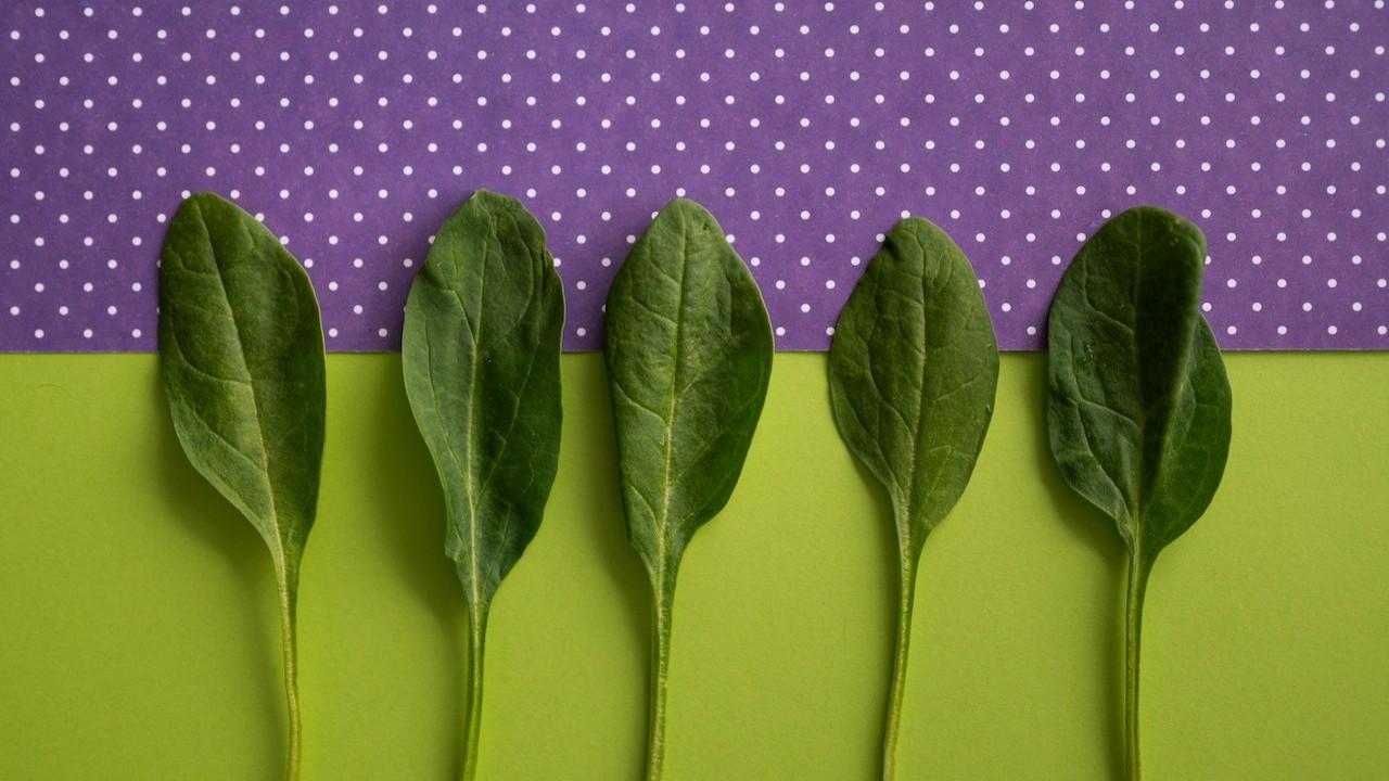 Surprising Benefits of Green Leafy Spinach for Hair Growth