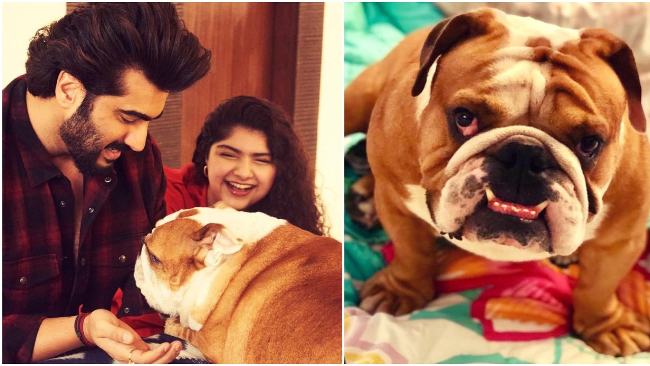 Arjun Kapoor