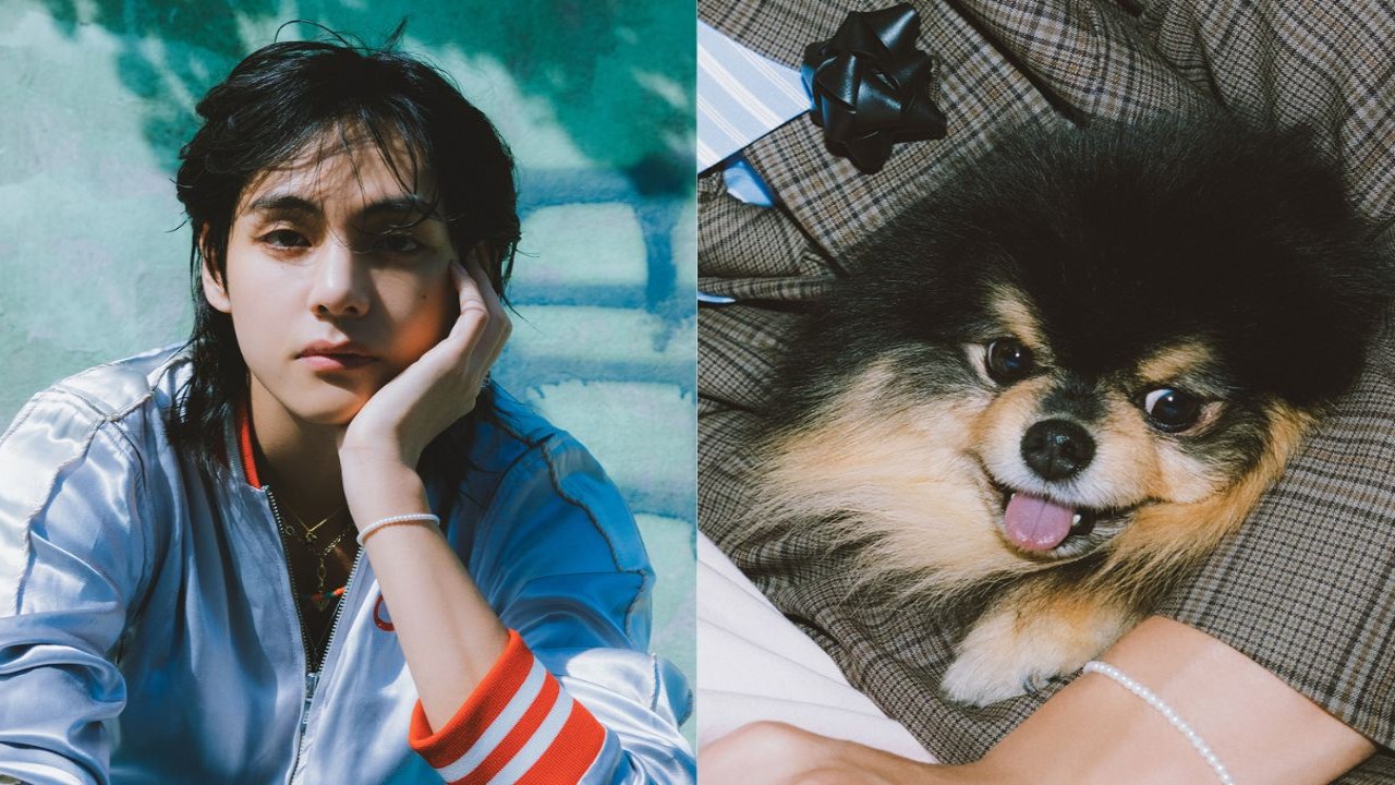 BTS's V's dog Yeontan debuts in his solo song Rainy Days - But is