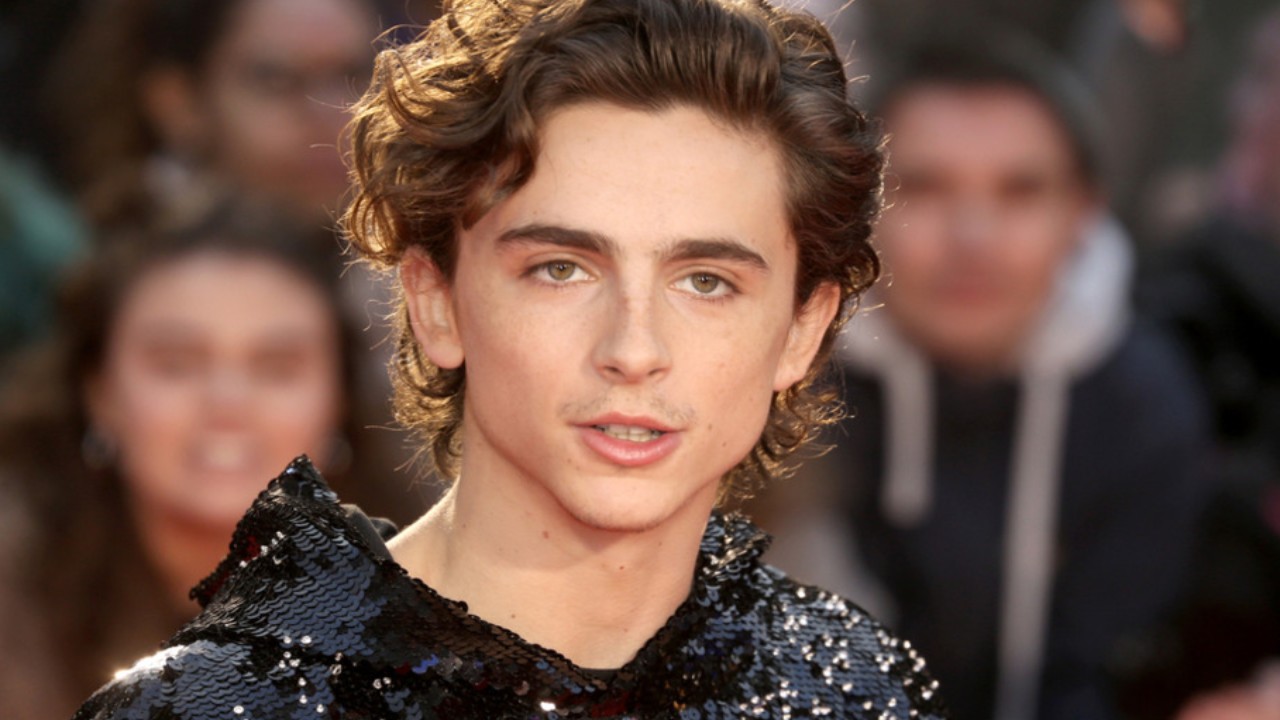 15 Timothée Chalamet's Hair Trends: Styles That Steal the Spotlight