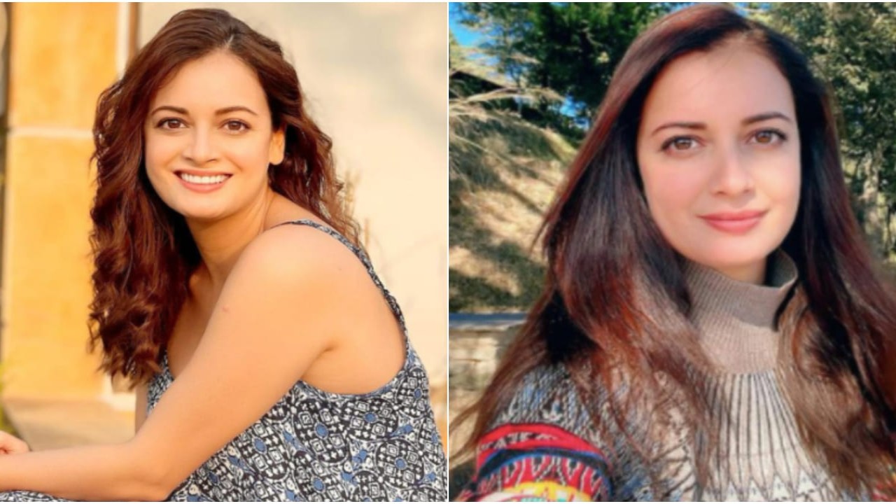 'Nothing gives me more joy than...': Dia Mirza expresses desire to get recognized more as an artist