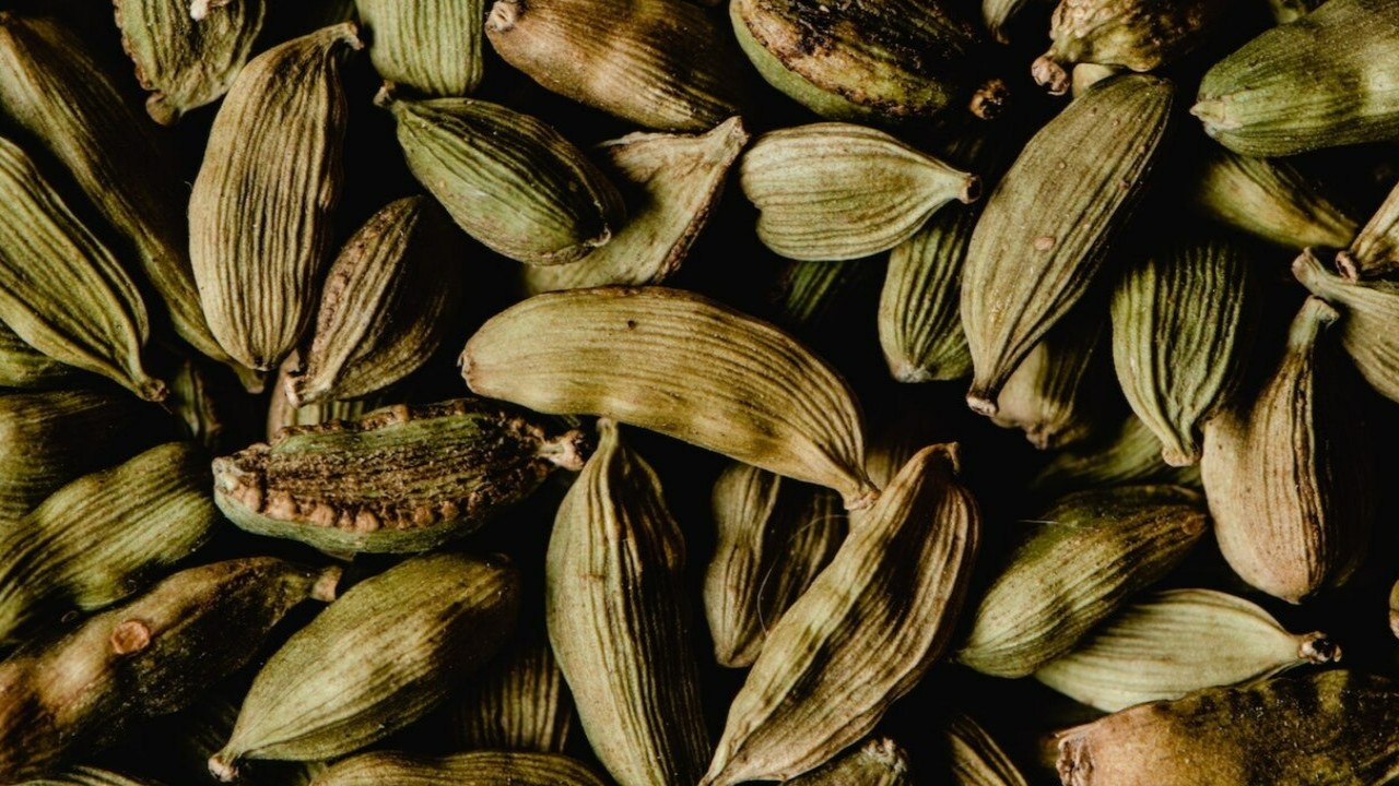 Benefits of Cardamom Benefits of Cardamom