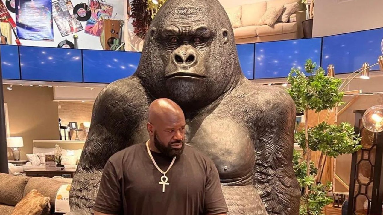 When Zoo executive confirmed Gorillas were indeed intimidated by 7’1 Shaquille O’Neal