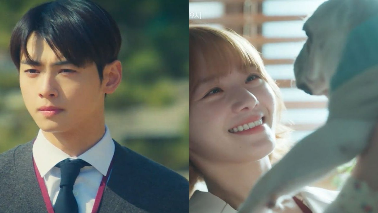 Cha Eun-woo on A Good Day to Be a Dog: This drama has a unique topic and is  exciting - Times of India