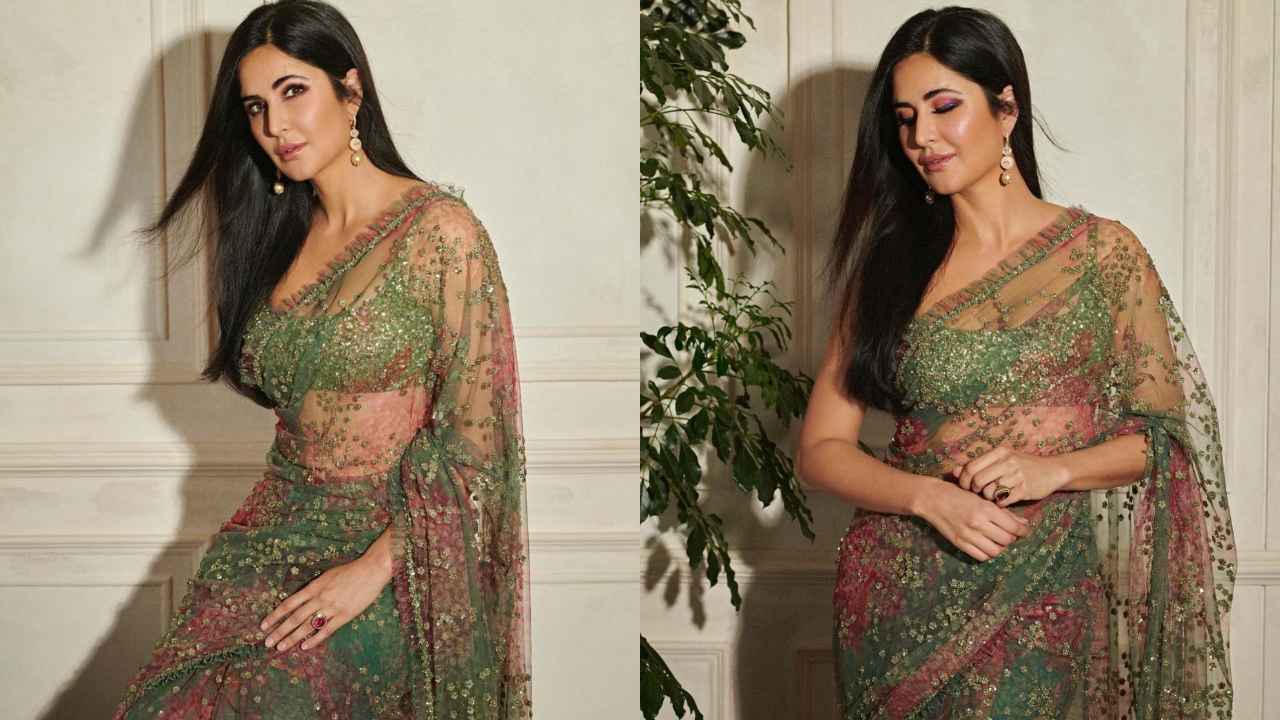 Katrina Kaif, Shehnaaz Gill to Kareena Kapoor Khan: Nature-inspired saree looks for Dussehra 2023