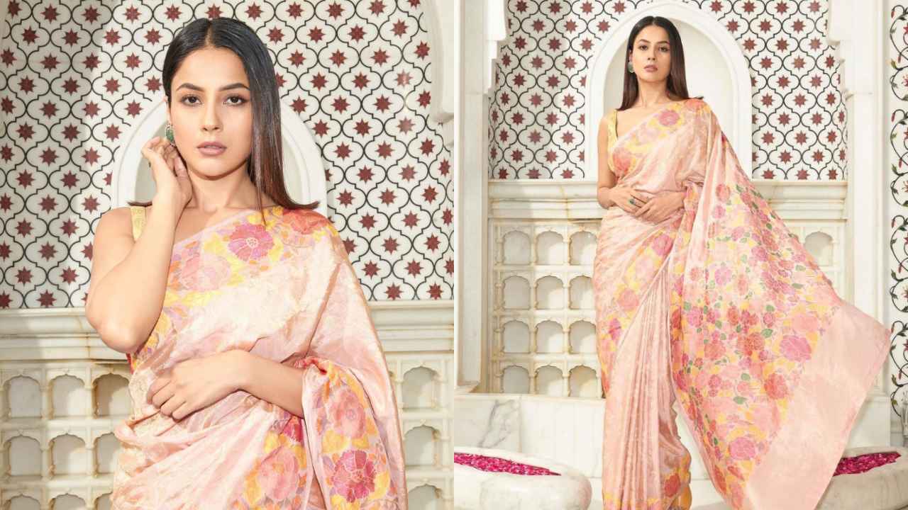 Katrina Kaif, Shehnaaz Gill to Kareena Kapoor Khan: Nature-inspired saree  looks for Dussehra 2023 | PINKVILLA