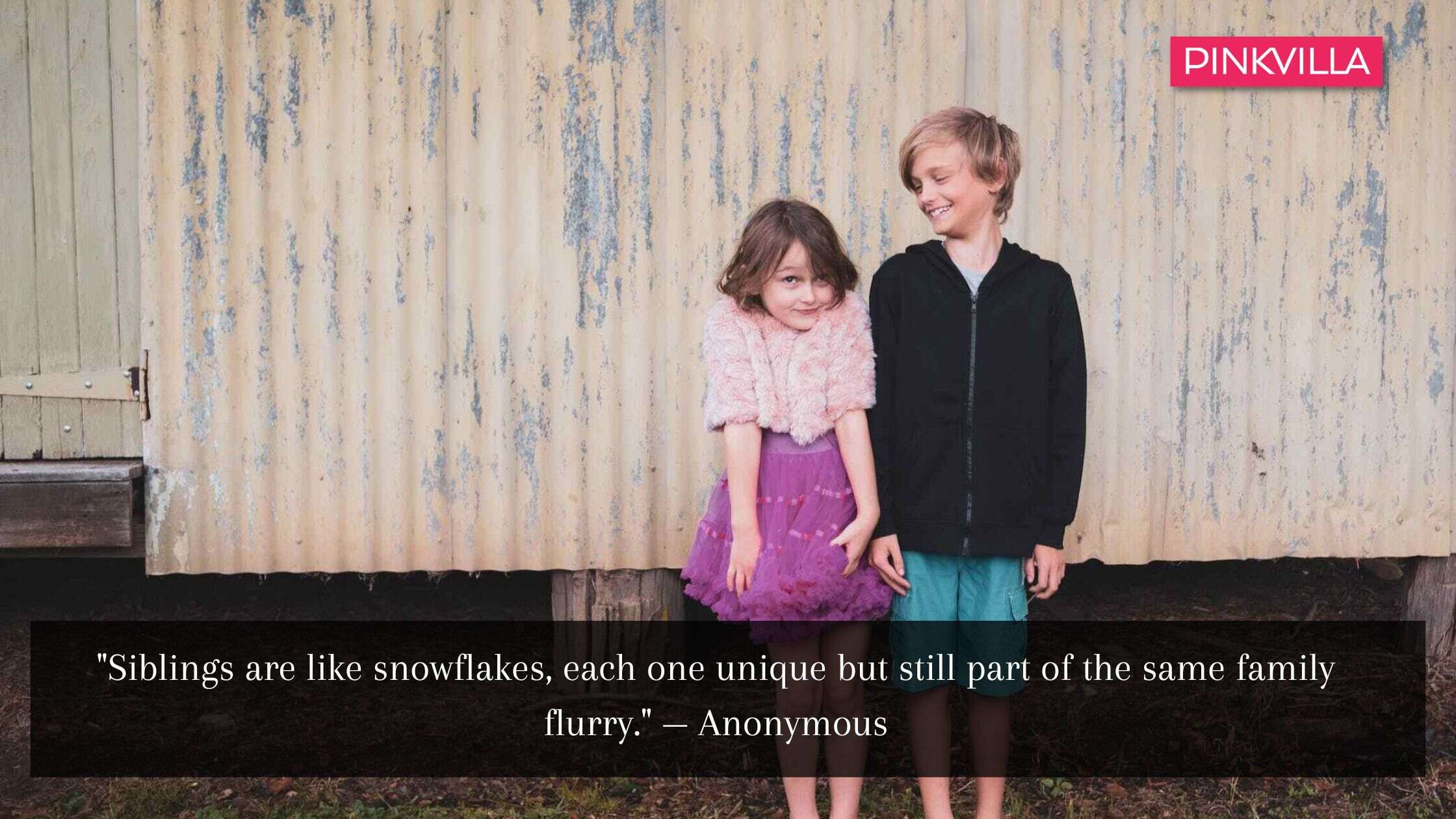 sibling quotes