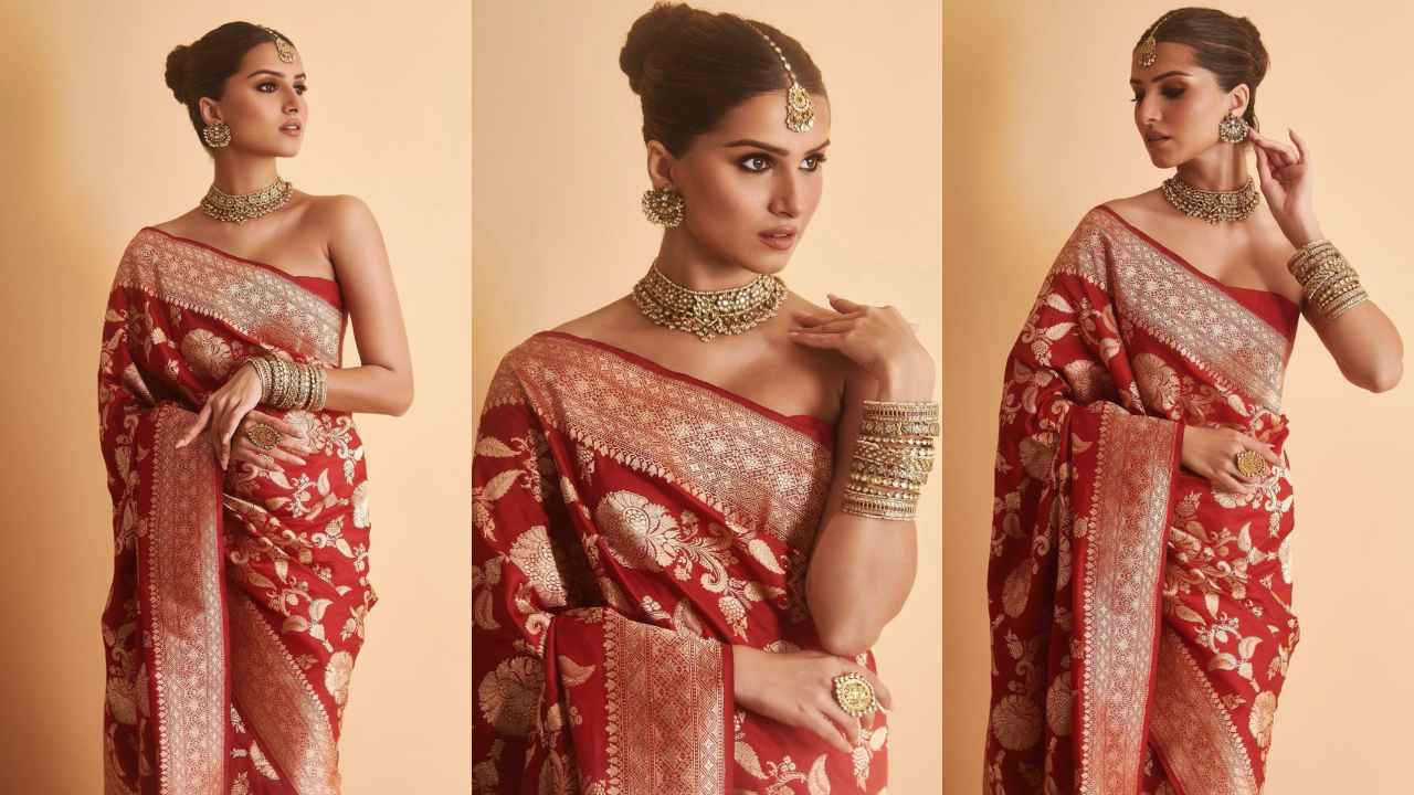 Tara Sutaria’s Rs. 24,875 handwoven red saree with Banarsi cutwork is perfect for Karva Chauth celebrations