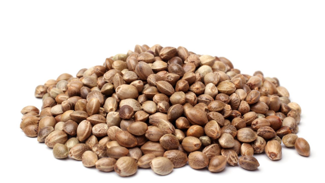 Hemp Seeds Hemp Seeds