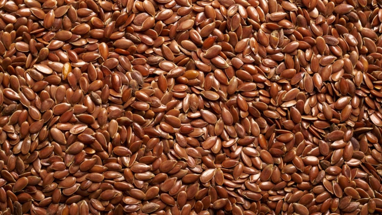 Flax Seeds Flax Seeds