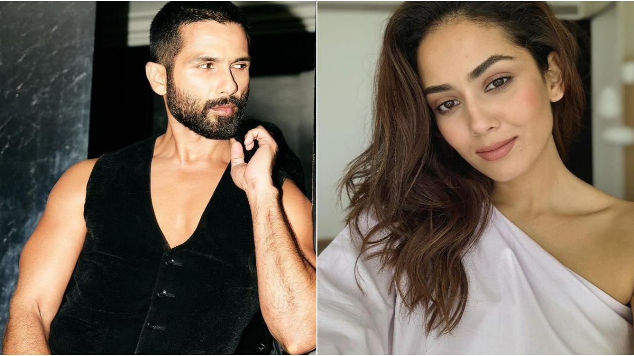 Can you not look this hot': Mira Rajput can't stop gushing over Shahid  Kapoor's good looks in latest PICS