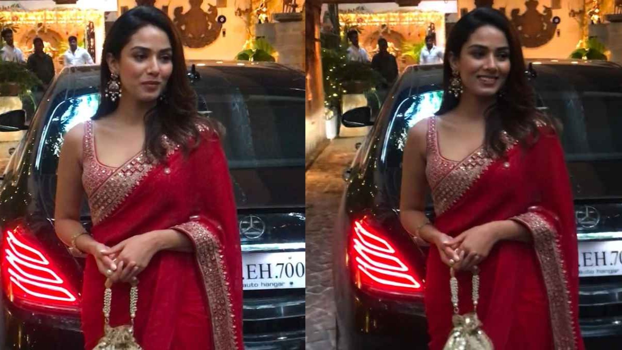 Mira Rajput, Punit Balana, Karva Chauth 2023, saree, style, fashion