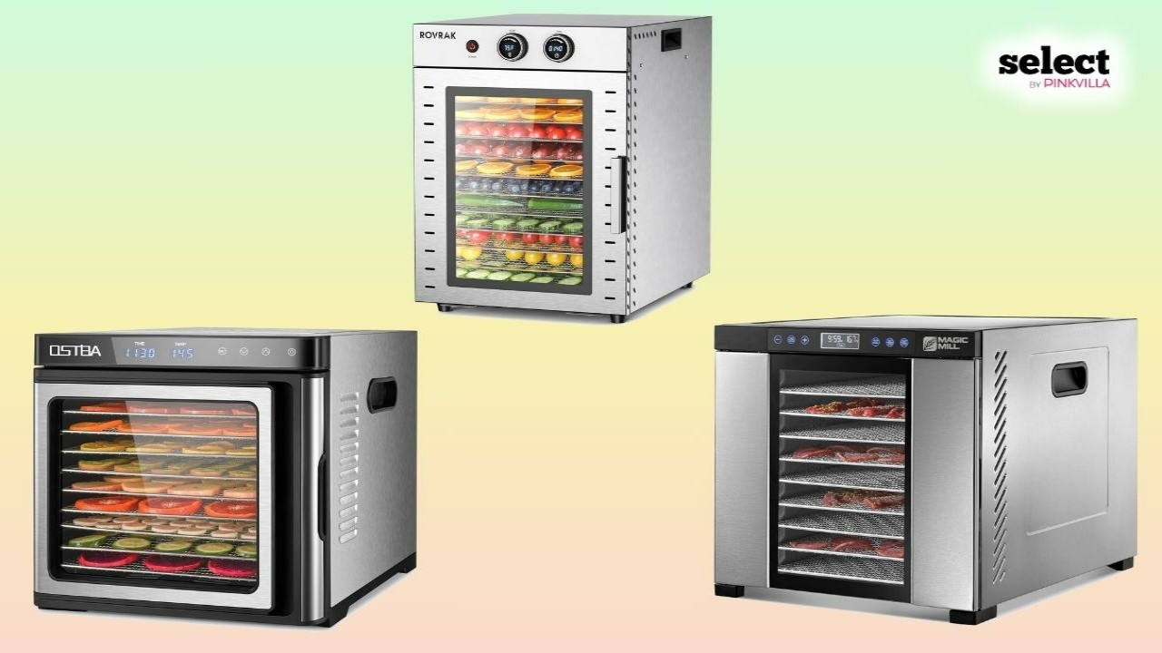 8 Best Food Dehydrators for Jerky And Season’s Snacks