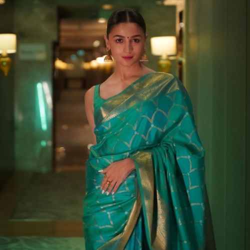 South Indian Handloom Saree Drape
