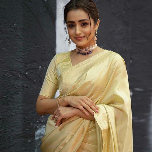 South Indian Handloom Saree Drape