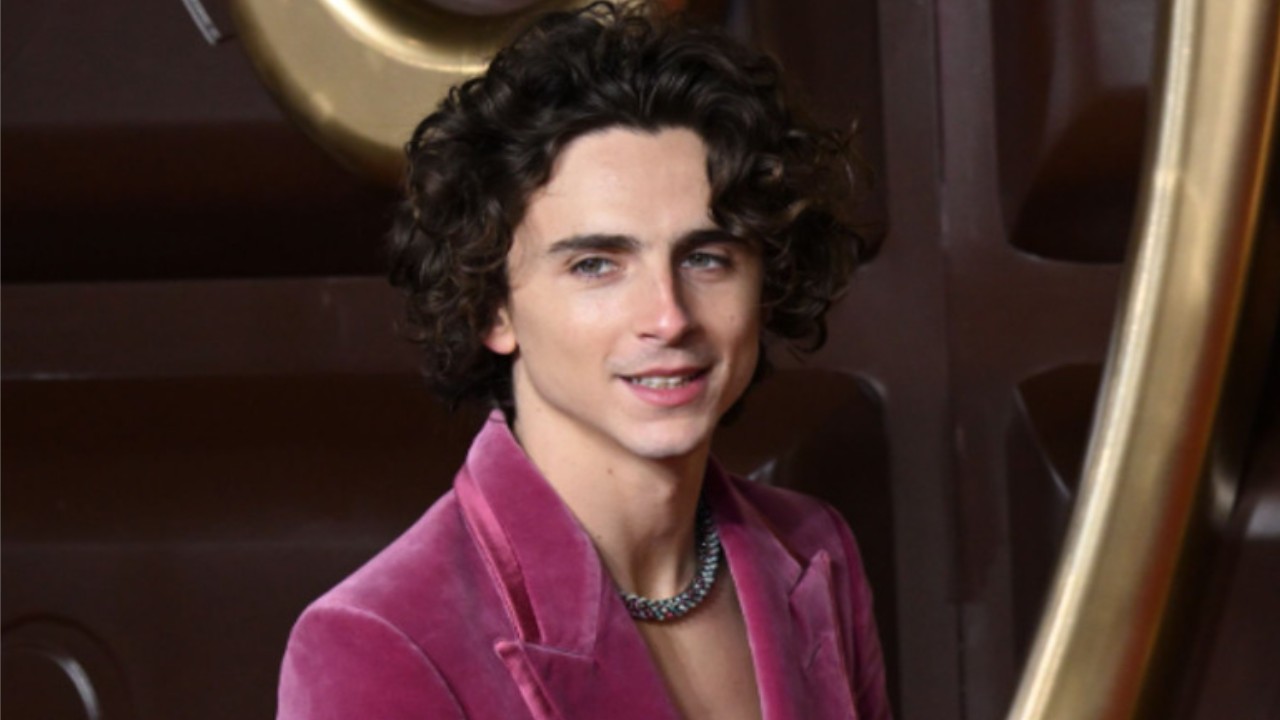 What is Timothée Chalamet's net worth? Exploring the actor's fortune and life amid the release of Wonka