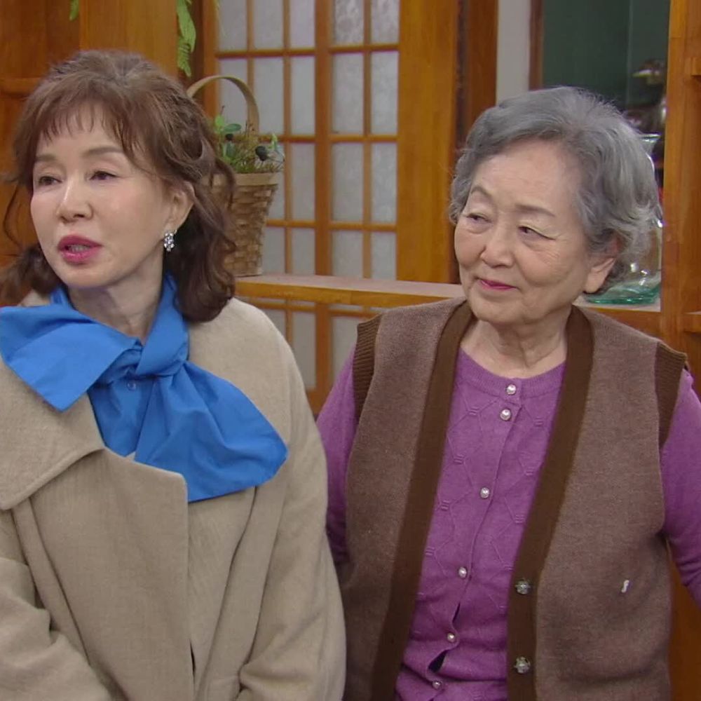 Young Lady and Gentleman (Image Credits-KBS2)