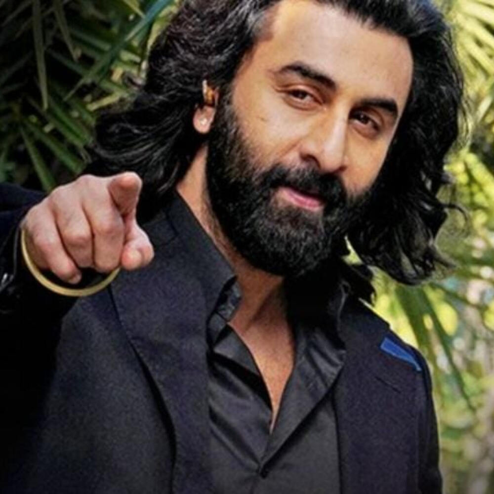 Animal Day 6 Box Office: Ranbir Kapoor starrer continues an impressive trend; Netts Rs 26 crores on Wednesday