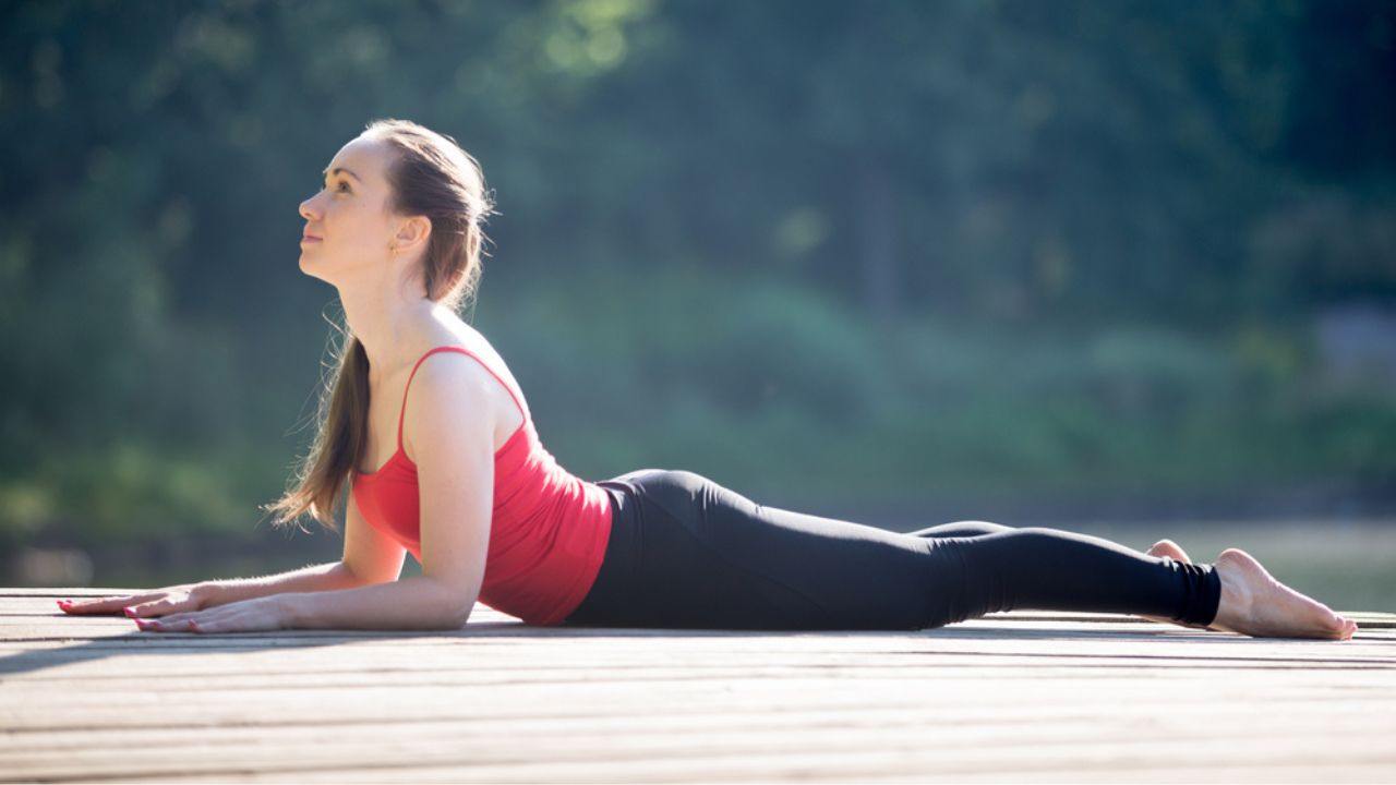 Sphinx Pose Sphinx Pose
