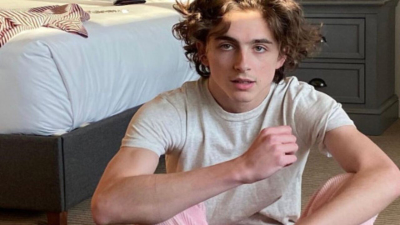 Timothée Chalamet ( Instagram )
